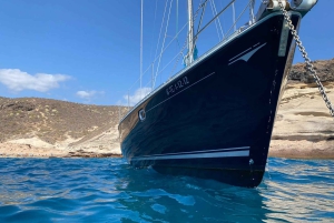 Tenerife: Sejltur med hval- og delfinsafari