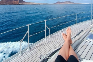 Tenerife: Sejltur med hval- og delfinsafari