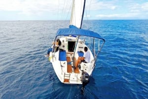 Teneriffa: Tenife: Yksityinen purjehdus kokemus välipaloilla ja juomilla