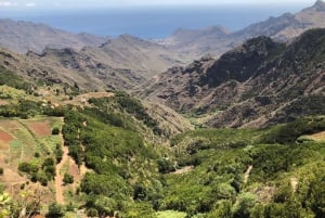 Teneryfa: Santa Cruz, La Laguna i Anaga Tour