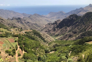 Tenerife: Santa Cruz, La Laguna and Taganana Tour