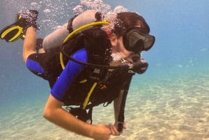 Tenerife: Scuba Dive & Fun, Discover the Magic of the Ocean