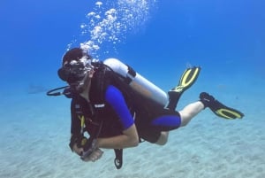 Tenerife: Scuba Dive & Fun, Discover the Magic of the Ocean