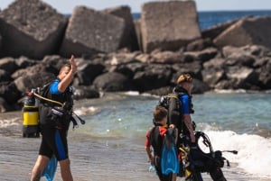 Tenerife: Scuba Dive & Fun, Discover the Magic of the Ocean