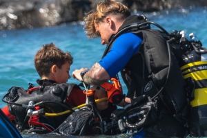 Tenerife : Plongée sous-marine et divertissement, découvrez la magie de l'océan