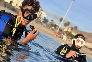 Tenerife : Plongée sous-marine et divertissement, découvrez la magie de l'océan