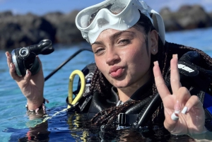 Tenerife : Plongée sous-marine et divertissement, découvrez la magie de l'océan