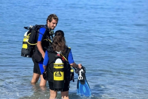 Tenerife : Plongée sous-marine et divertissement, découvrez la magie de l'océan