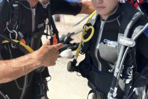 Tenerife : Plongée sous-marine et divertissement, découvrez la magie de l'océan
