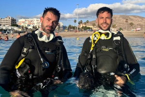 Tenerife : Plongée sous-marine et divertissement, découvrez la magie de l'océan