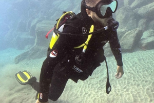 Tenerife : Plongée sous-marine et divertissement, découvrez la magie de l'océan
