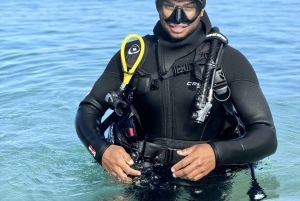 Tenerife : Plongée sous-marine et divertissement, découvrez la magie de l'océan