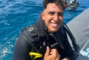 Tenerife : Plongée sous-marine et divertissement, découvrez la magie de l'océan