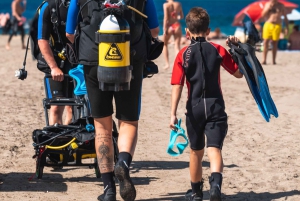 Tenerife : Plongée sous-marine et divertissement, découvrez la magie de l'océan