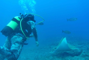 Teneriffa: Scuba Diving Experience med instruktör och utrustning