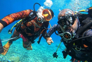 Teneriffa: Scuba Diving Experience med instruktör och utrustning