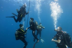 Teneryfa: nurkowanie dla certyfikowanych nurków w Puerto Colon