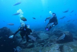Tenerife: Scuba Diving for Certified Divers in Puerto Colon