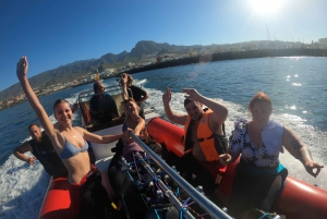 Tenerife: Scuba Diving for Certified Divers in Puerto Colon