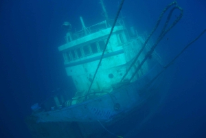 Immersioni subacquee a Tenerife per subacquei certificati