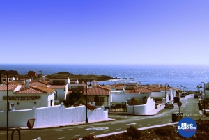 Immersioni subacquee a Tenerife per subacquei certificati