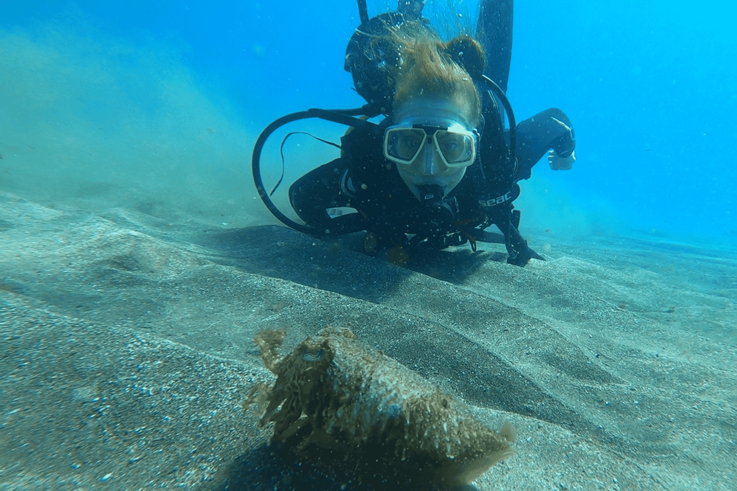 Tenerife: Aula de mergulho autônomo e mergulho na área protegida de Abades
