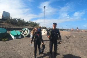 Tenerife: Scuba Diving Lesson and Abades Protected Area Dive