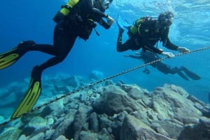 Tenerife: Scuba Diving Lesson and Abades Protected Area Dive