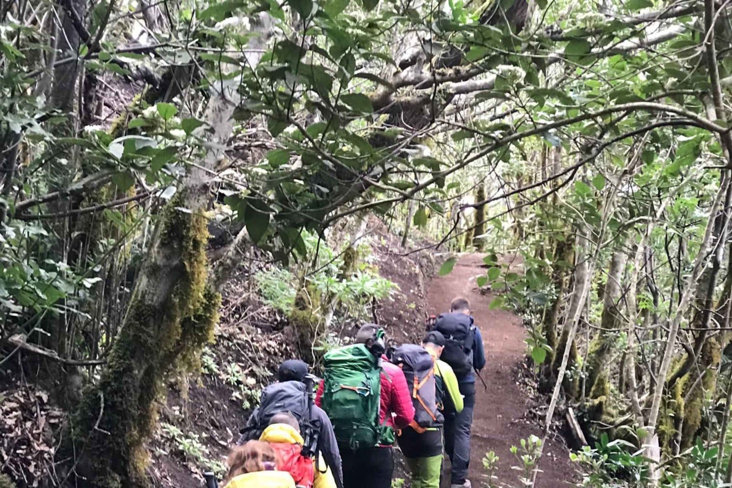 Tenerife: Caminhada em Anaga, Floresta Mágica, Reserva da Biosfera