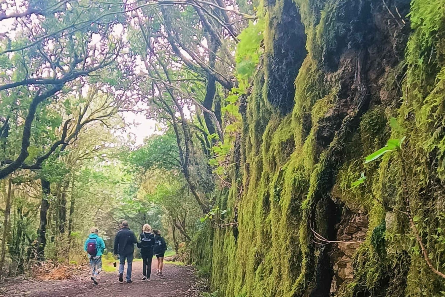 Tenerife: Caminhada em Anaga, Floresta Mágica, Reserva da Biosfera