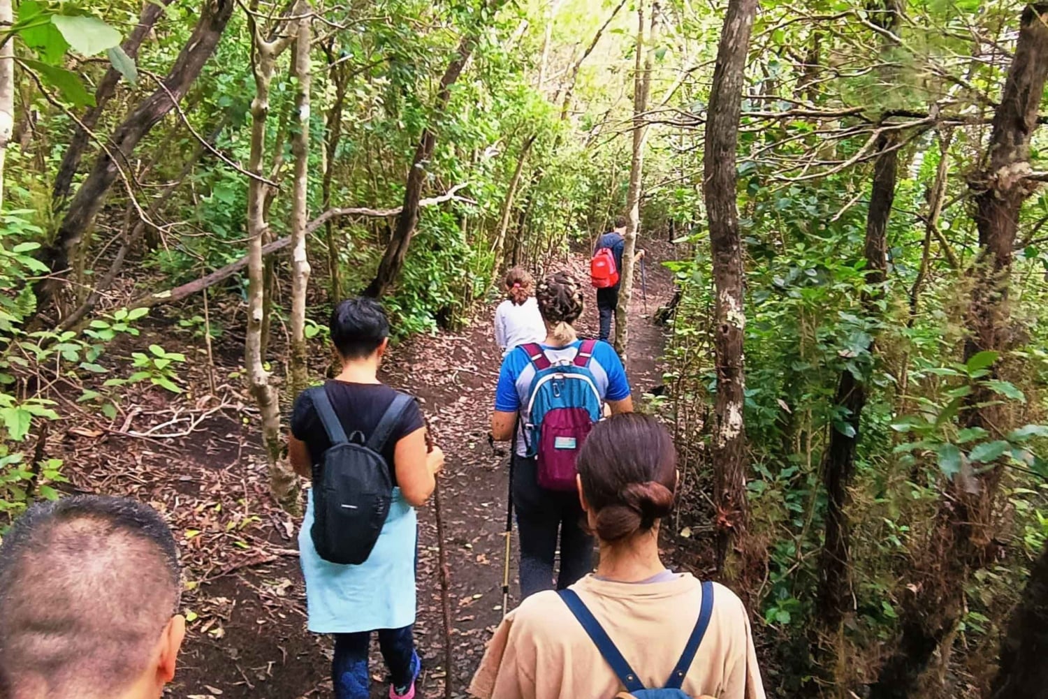 Tenerife: Caminhada em Anaga, Floresta Mágica, Reserva da Biosfera