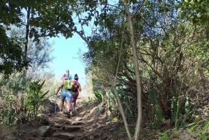 Tenerife: Caminhada em Anaga, Floresta Mágica, Reserva da Biosfera