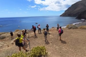 Tenerife: Anaga, Bosque mágico