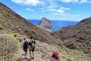 Tenerife: Anaga, Bosque mágico