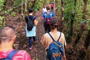 Tenerife: Anaga, Bosque mágico