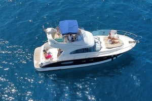 Tenerife: Fælles yachtcruise med champagne og tapas