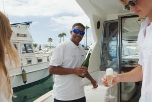 Tenerife: Fælles yachtcruise med champagne og tapas