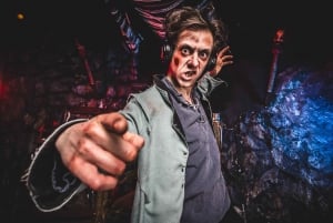 テネリフェ島：ハロウィン・サイレントディスコツアー、ウォーキングデッドスペシャル