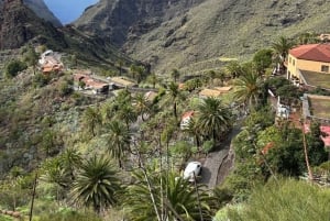 Tenerife Small-Group Natural Pool Swim & Mountain Picnic