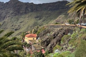 Tenerife Small-Group Natural Pool Swim & Mountain Picnic