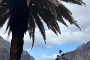 Tenerife Small-Group Natural Pool Swim & Mountain Picnic