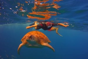 Tenerife: Snorkel with Turtles