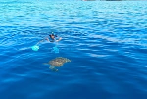 Teneriffa: Snorklaa kilpikonnien kanssa