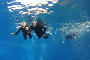 Teneriffa: Snorklaa kilpikonnien kanssa