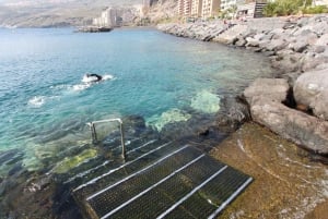Tenerife: Snorkeling Equipment Rental in Radazul