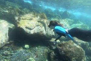 Tenerife : Snorkeling underwater with freediving Instructor