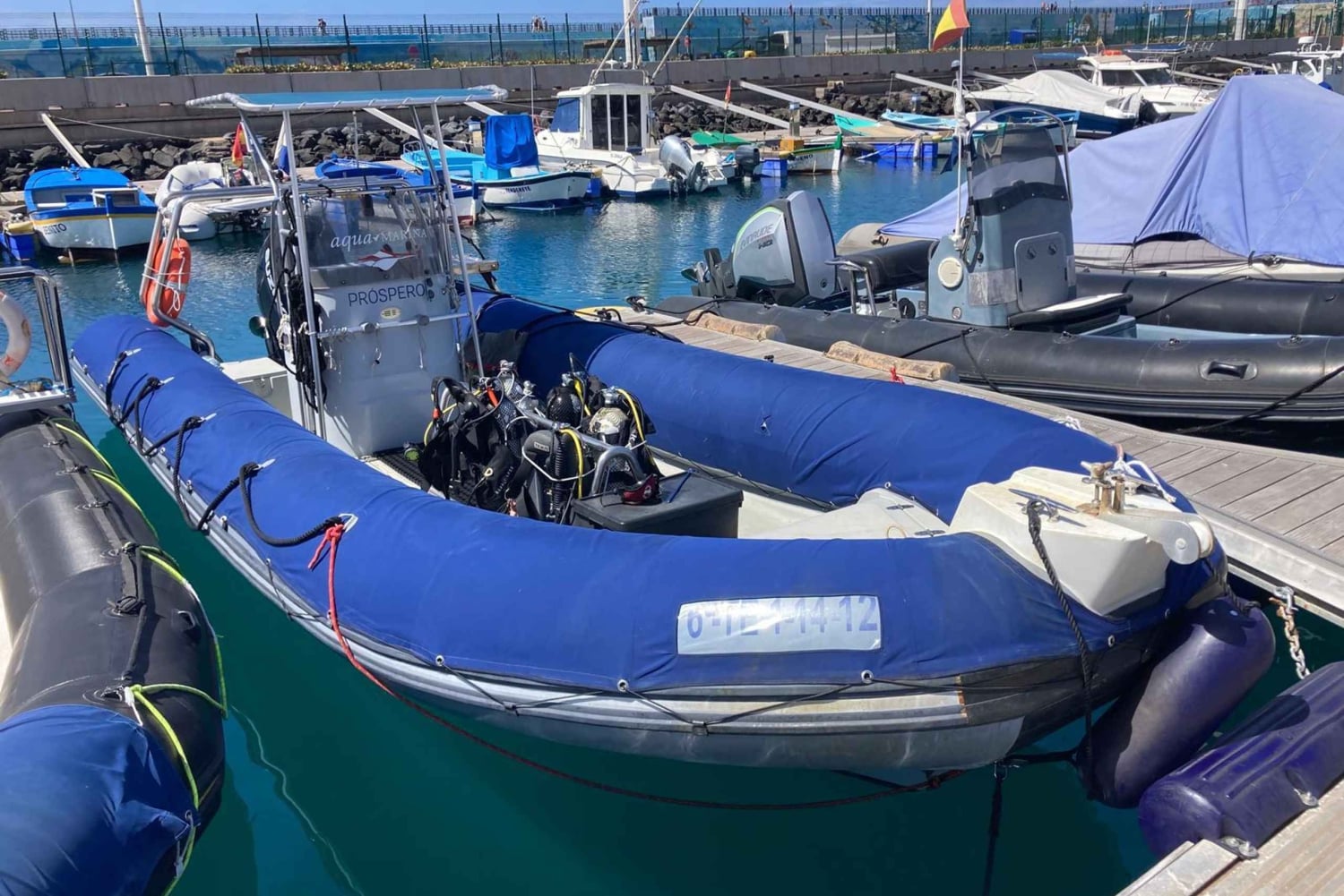 Tenerife: Snorkling på jagt efter skildpadder og rokker