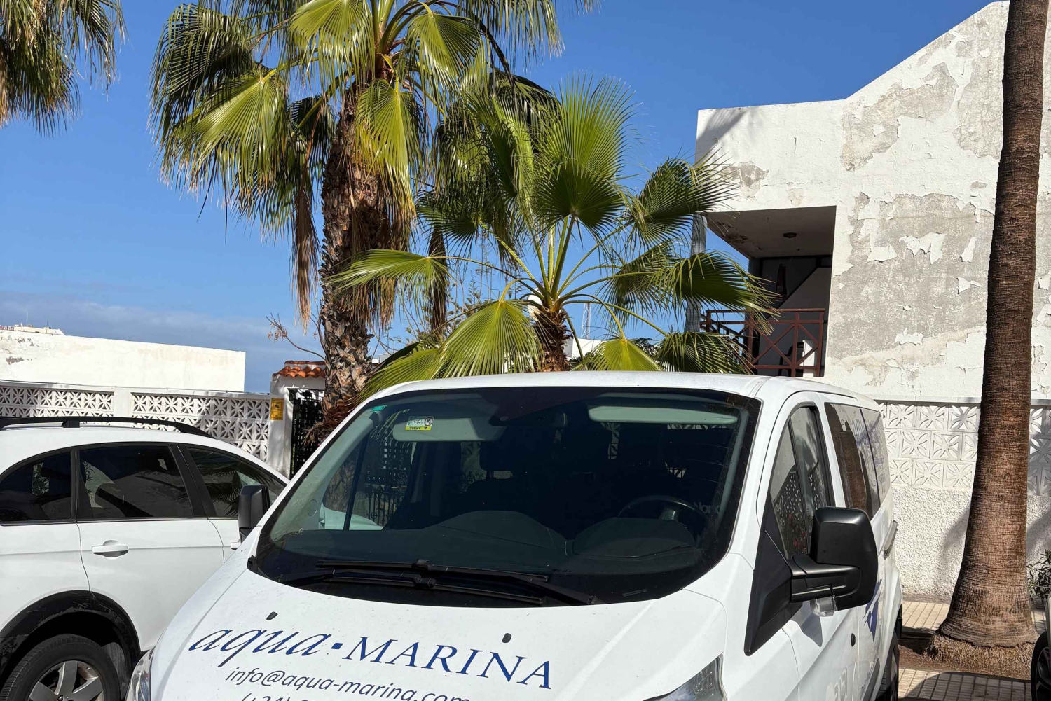 Tenerife: Snorkling på jagt efter skildpadder og rokker