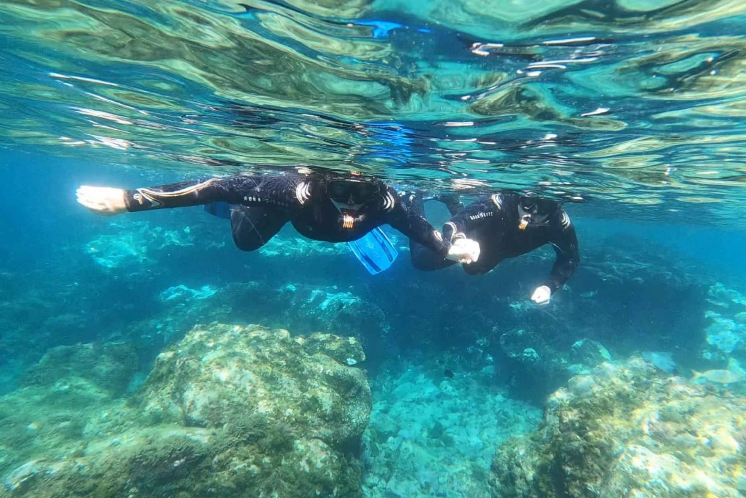 Teneryfa: Snorkeling w morskim obszarze chronionym