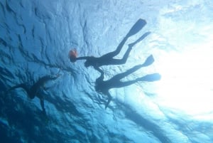 Tenerife: Passeio de mergulho com snorkel em uma área marinha protegida